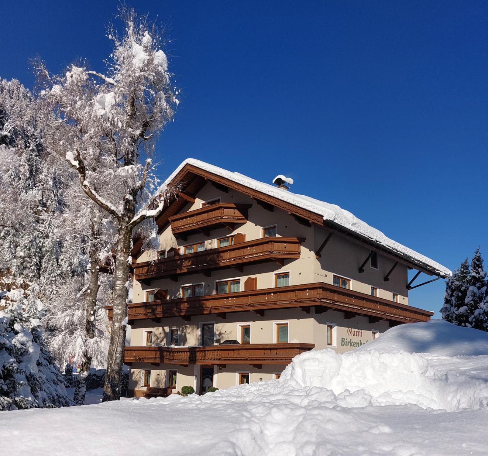 Hotel Garni Birkenhof Майерхофен Екстериор снимка