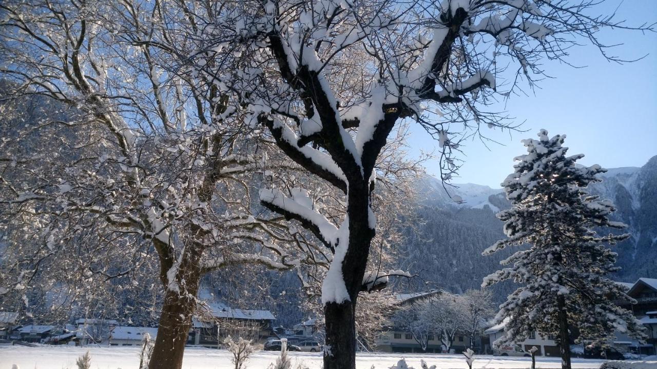 Hotel Garni Birkenhof Майерхофен Екстериор снимка
